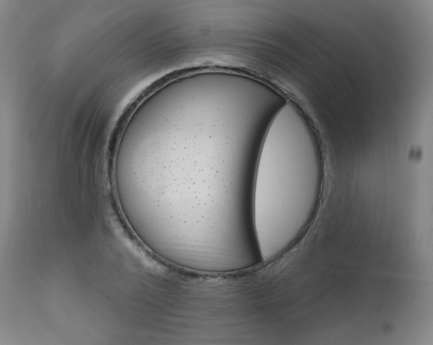 X0000112960784200908270918