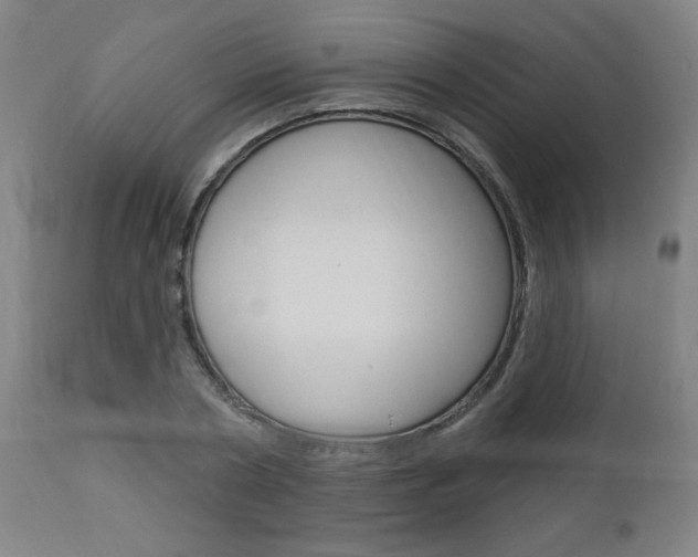 X0000112960786200908270918