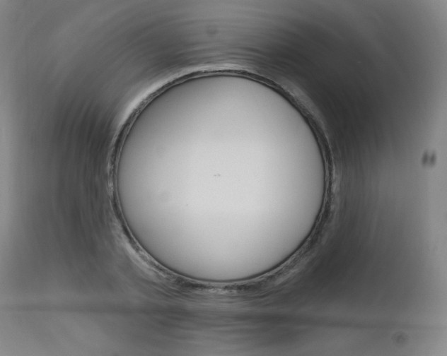 X0000112960789200908270918