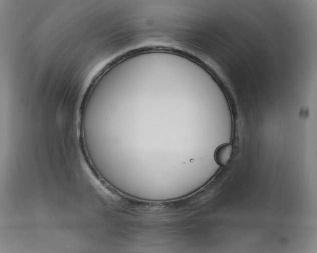 X0000112960791200908270918