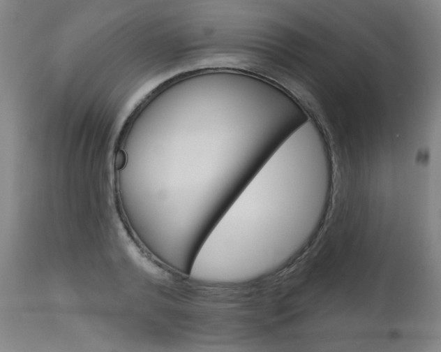 X0000112960792200908270918