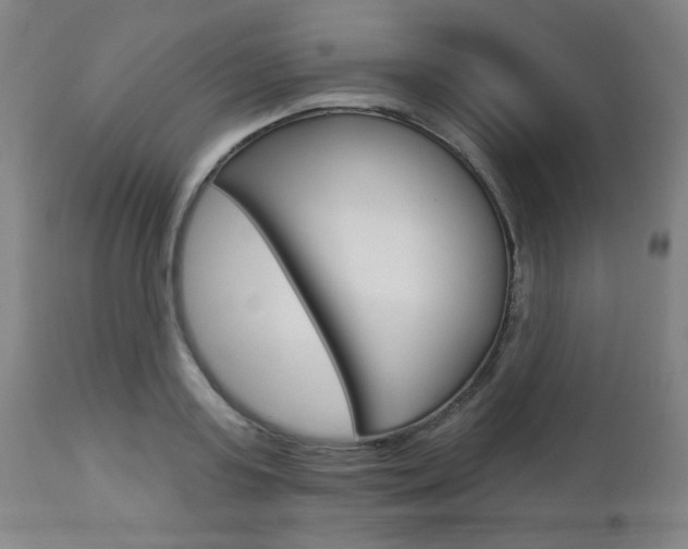 X0000112960795200908270918