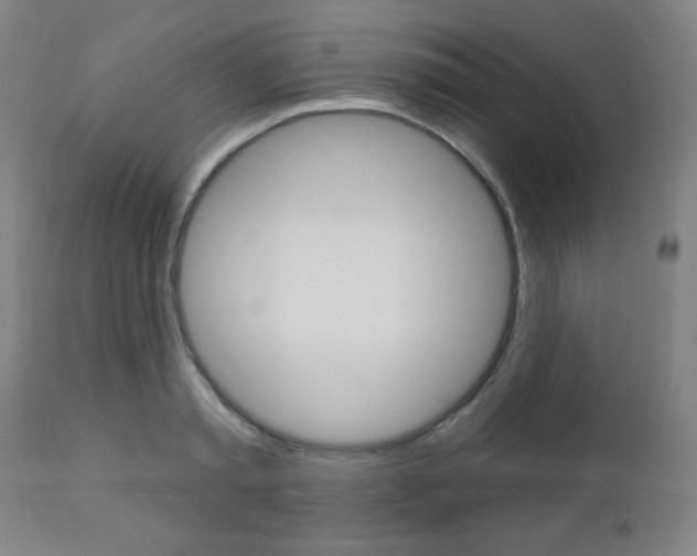 X0000112960797200908270918