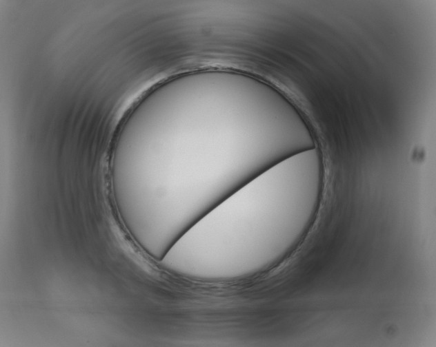 X0000112960798200908270918