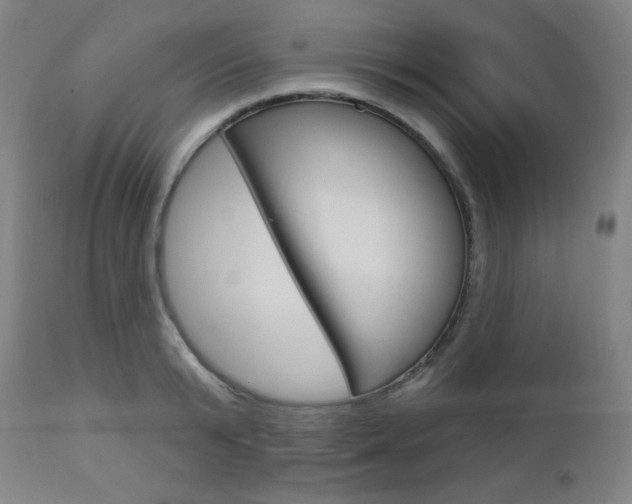 X0000112960799200908270918