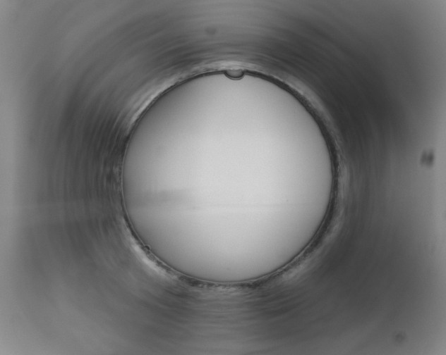 X0000112960801200908270918