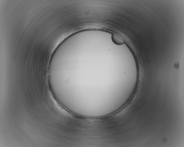 X0000112960802200908270918