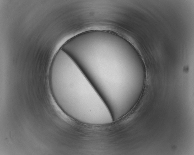 X0000112960803200908270918