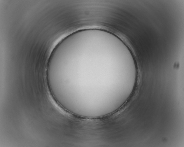 X0000112960805200908270918