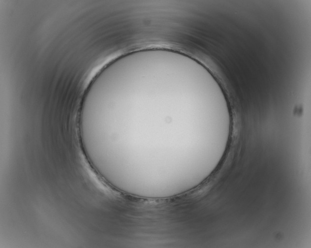 X0000112960806200908270918