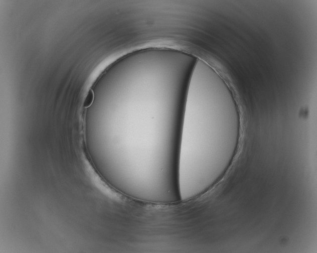 X0000112960808200908270918