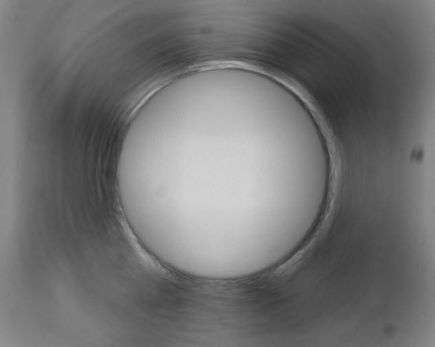 X0000112960809200908270918