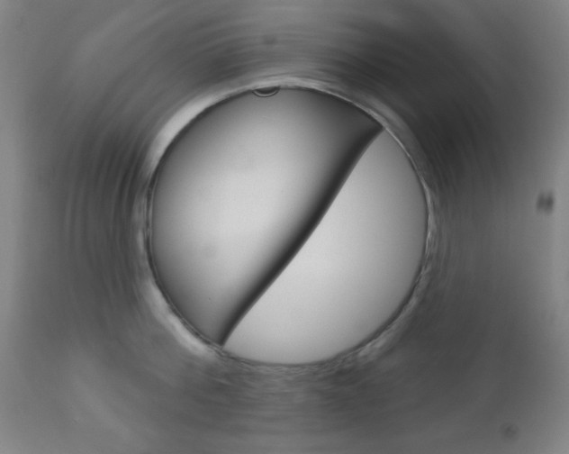 X0000112960812200908270918