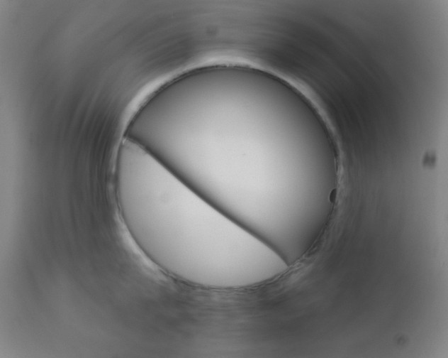 X0000112960815200908270918