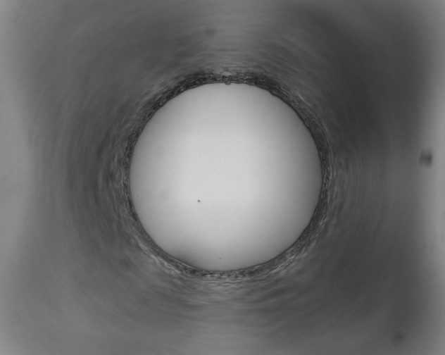 X0000112960817200908270917
