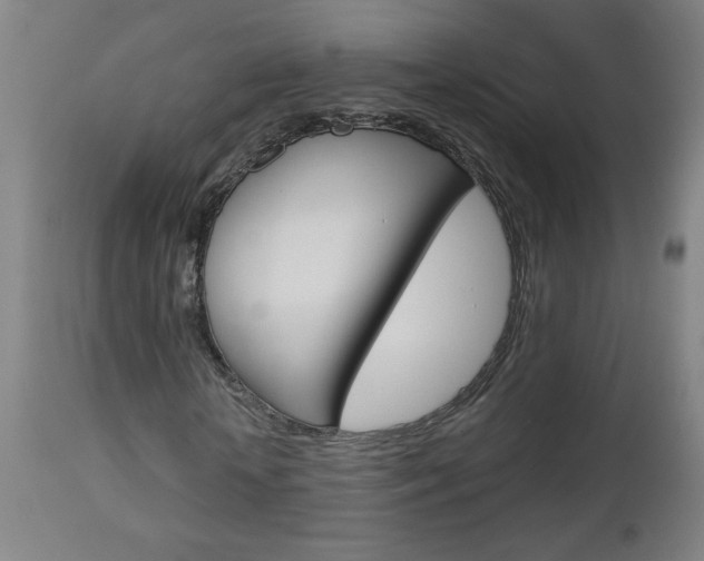 X0000112960818200908270917
