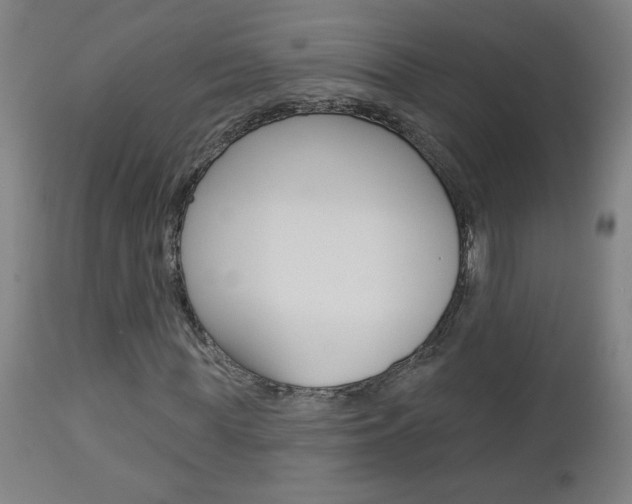 X0000112960819200908270917