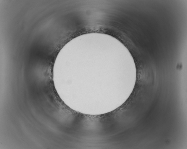 X0000112960820200908270917