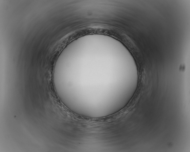 X0000112960821200908270917