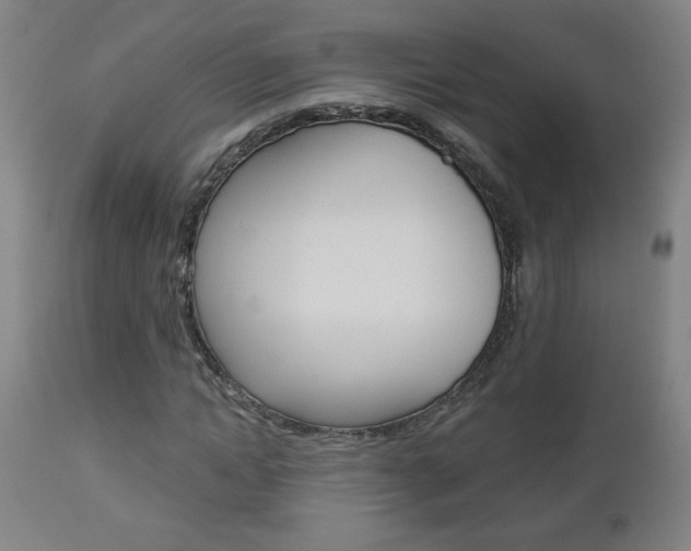 X0000112960822200908270917