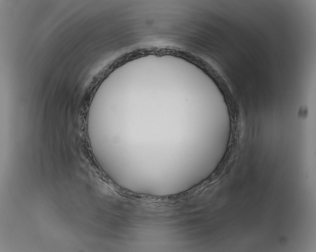 X0000112960823200908270917