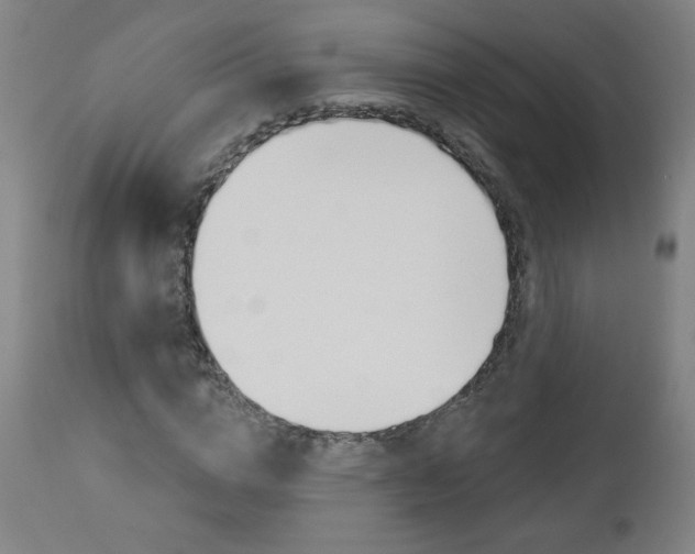 X0000112960824200908270917
