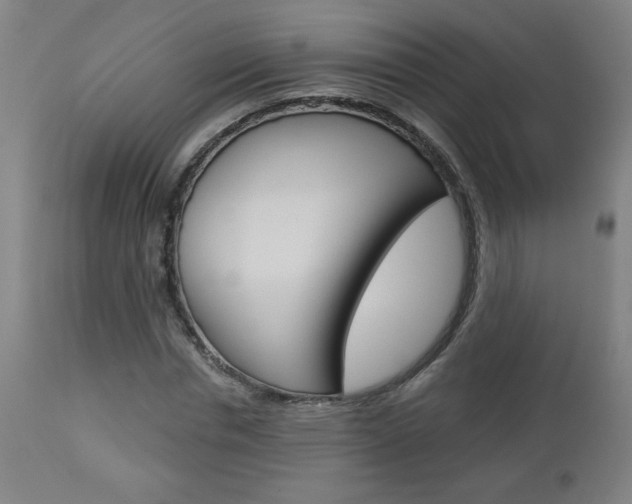 X0000112960826200908270917