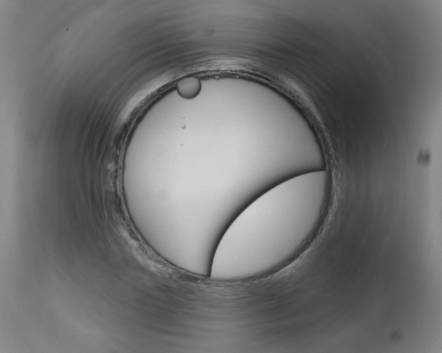 X0000112960827200908270917