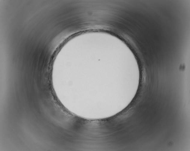 X0000112960828200908270917