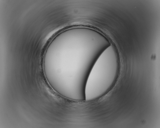 X0000112960830200908270917