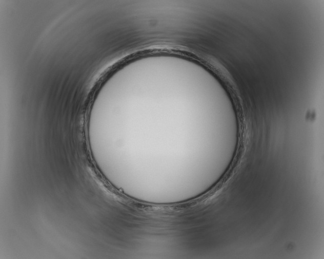 X0000112960831200908270917