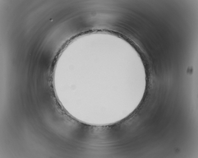 X0000112960832200908270917