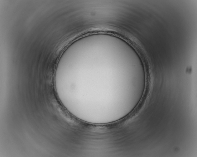 X0000112960833200908270917
