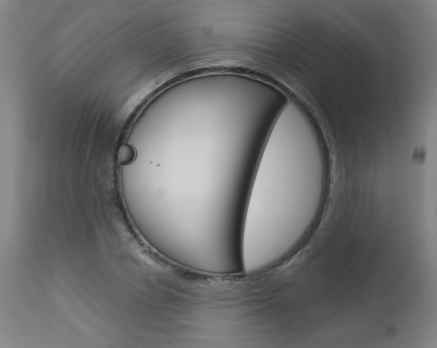 X0000112960834200908270917