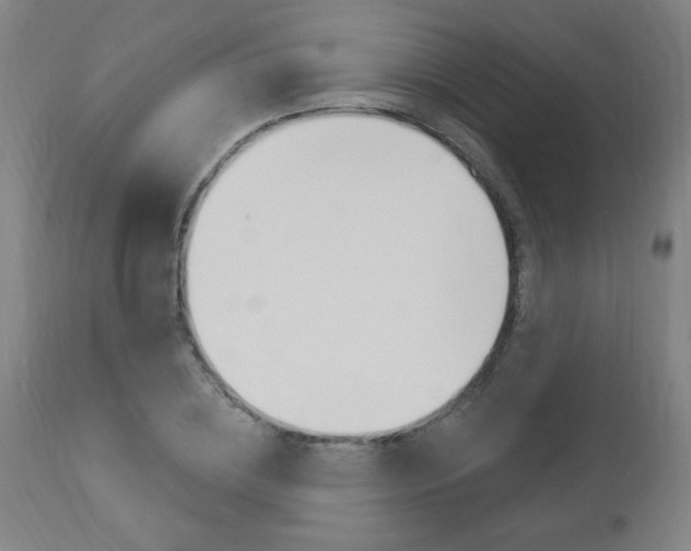 X0000112960836200908270918