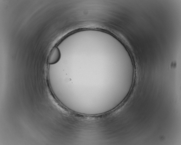 X0000112960839200908270918
