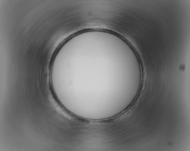 X0000112960840200908270918