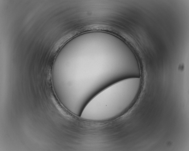 X0000112960841200908270918