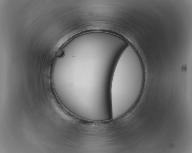 X0000112960842200908270918