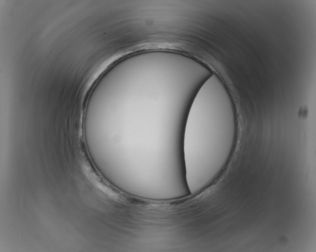 X0000112960844200908270918