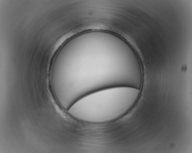 X0000112960845200908270918