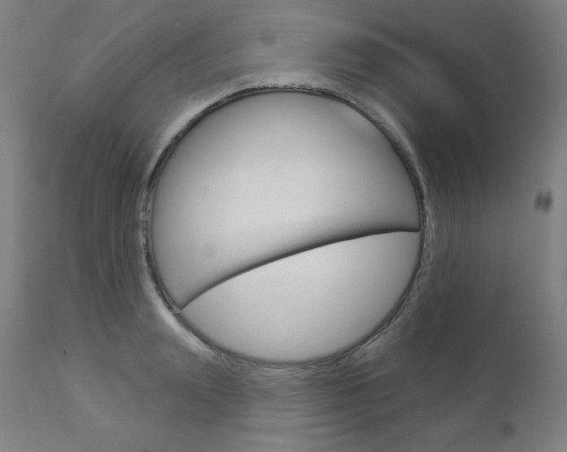 X0000112960847200908270918