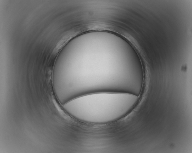 X0000112960849200908270918