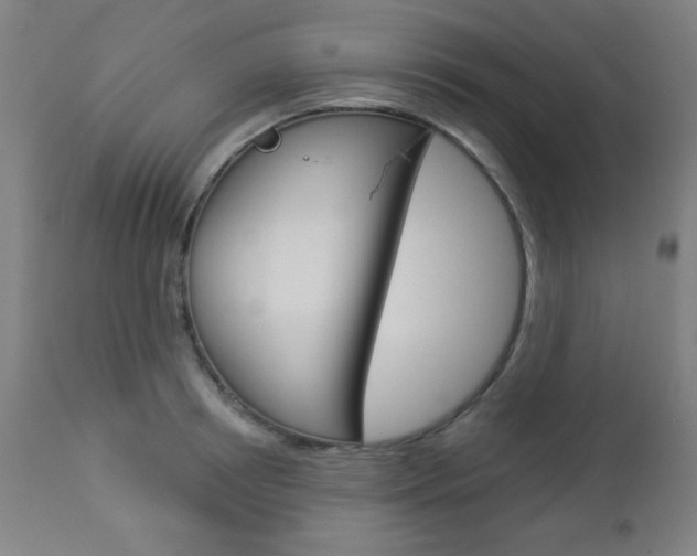 X0000112960850200908270918