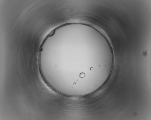 X0000112960855200908270918