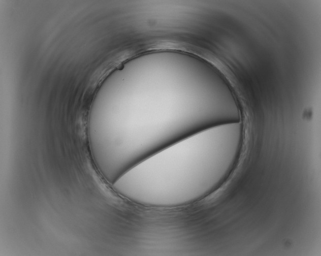 X0000112960857200908270918