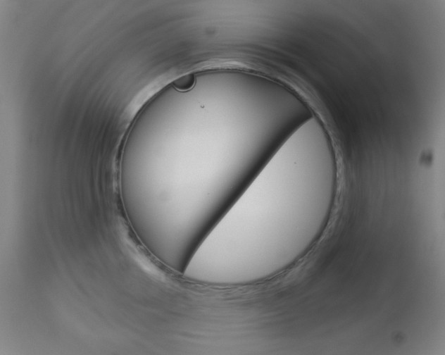 X0000112960858200908270918