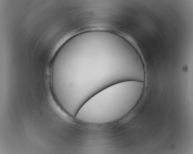 X0000112960859200908270918