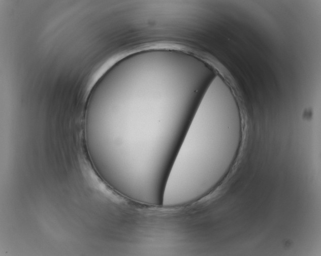 X0000112960860200908270918