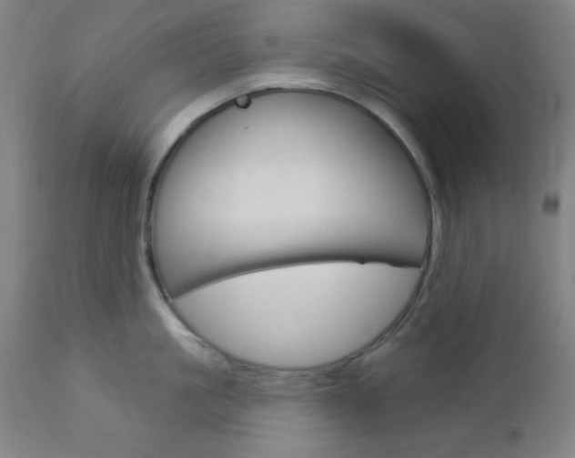 X0000112960861200908270918
